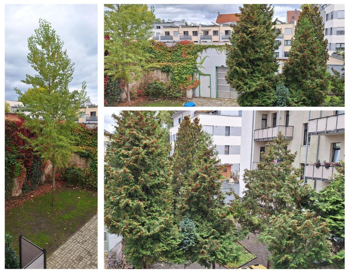 Modernes Einraumzimmer Mit Eigenem Bad, Balkonnutzung, Zentrumsnah - In 10 Minuten Mit Dem Rad Oder Dem Oepnv Zur Arena Und In Leipzigs Innenstadt Exterior foto
